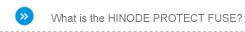 What is the HINODE PROTECT FUSE?