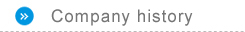 Company history