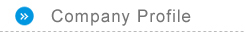Company Profile